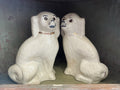Rare Early-1900s Staffordshire Dogs